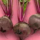 Manfaat Buah Bit untuk Kesehatan dan Cara Mengonsumsinya agar Khasiat Maksimal