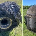 Benda Berbulu Jatuh dari Langit, Apakah Itu?