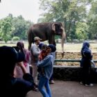 Hari Ini Ragunan Uji Operasional hingga Malam, Pengelola Pastikan Tak Ganggu Satwa