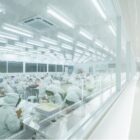 Selesai Dibangun, Pabrik TEI Bakal Serap 1.000 Tenaga Kerja Lokal di Demak