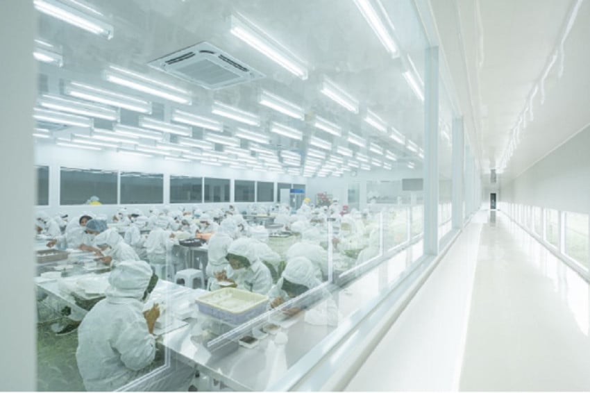 Selesai Dibangun, Pabrik TEI Bakal Serap 1.000 Tenaga Kerja Lokal di Demak