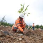 SIG Tegaskan Komitmen Membangun Ekosistem Tambang Ramah Lingkungan